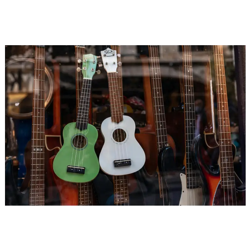 Instrumentos