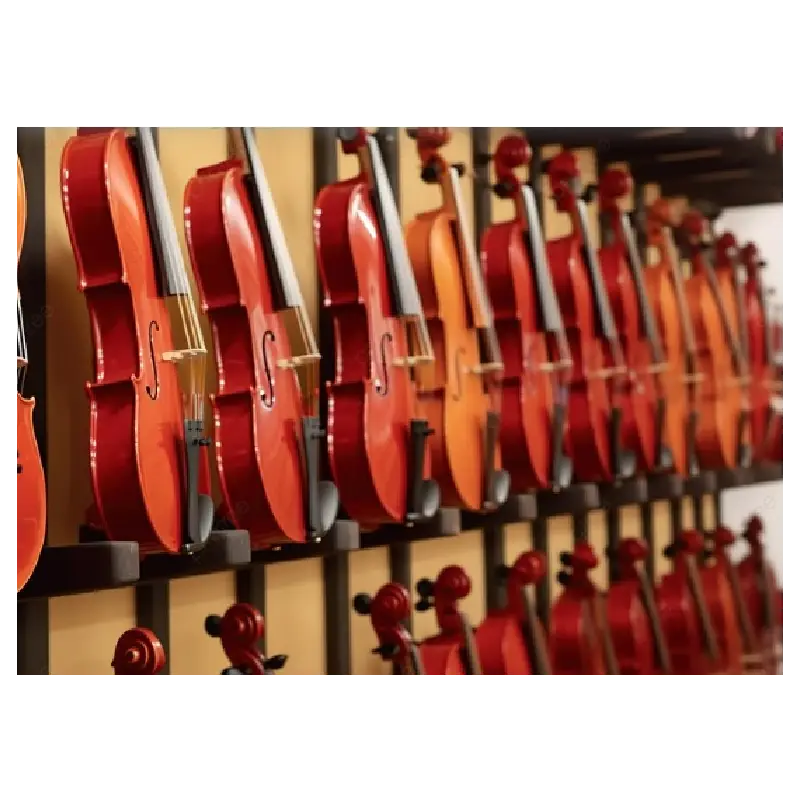 Instrumentos musicais em Araraquara SP