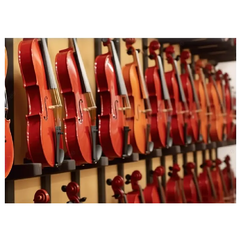 Viola de arco em Araraquara