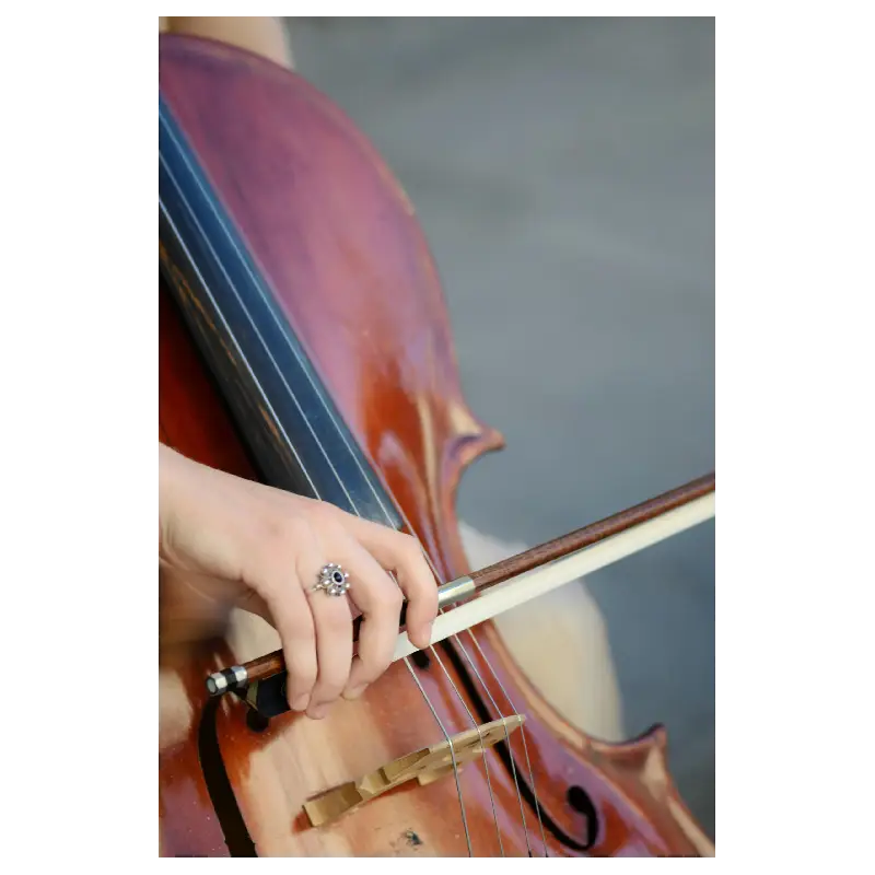 Loja de violoncelos em Araraquara SP