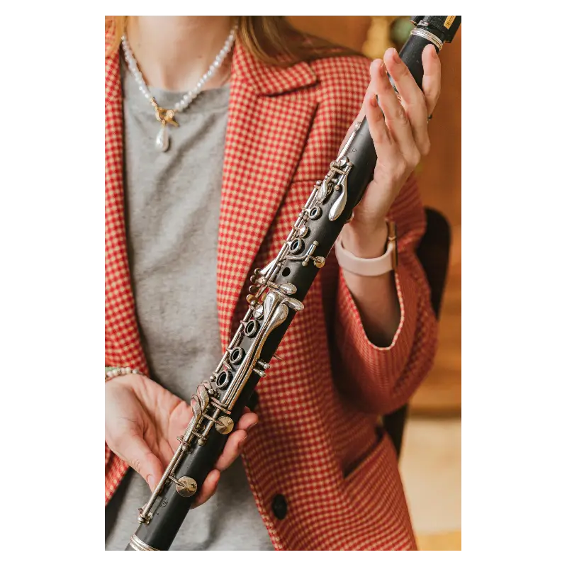 Onde comprar clarinete em Araraquara SP